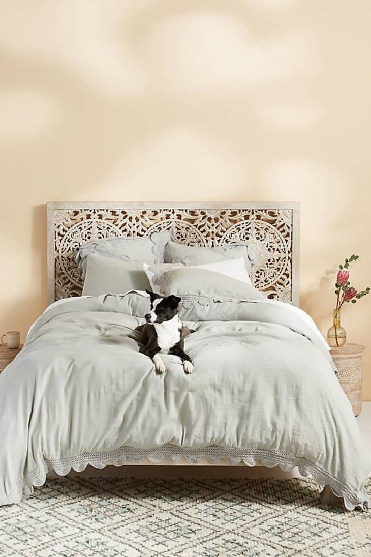 All roads yucca throw blanket clearance